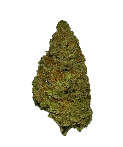 Lemon Haze Weed Strain