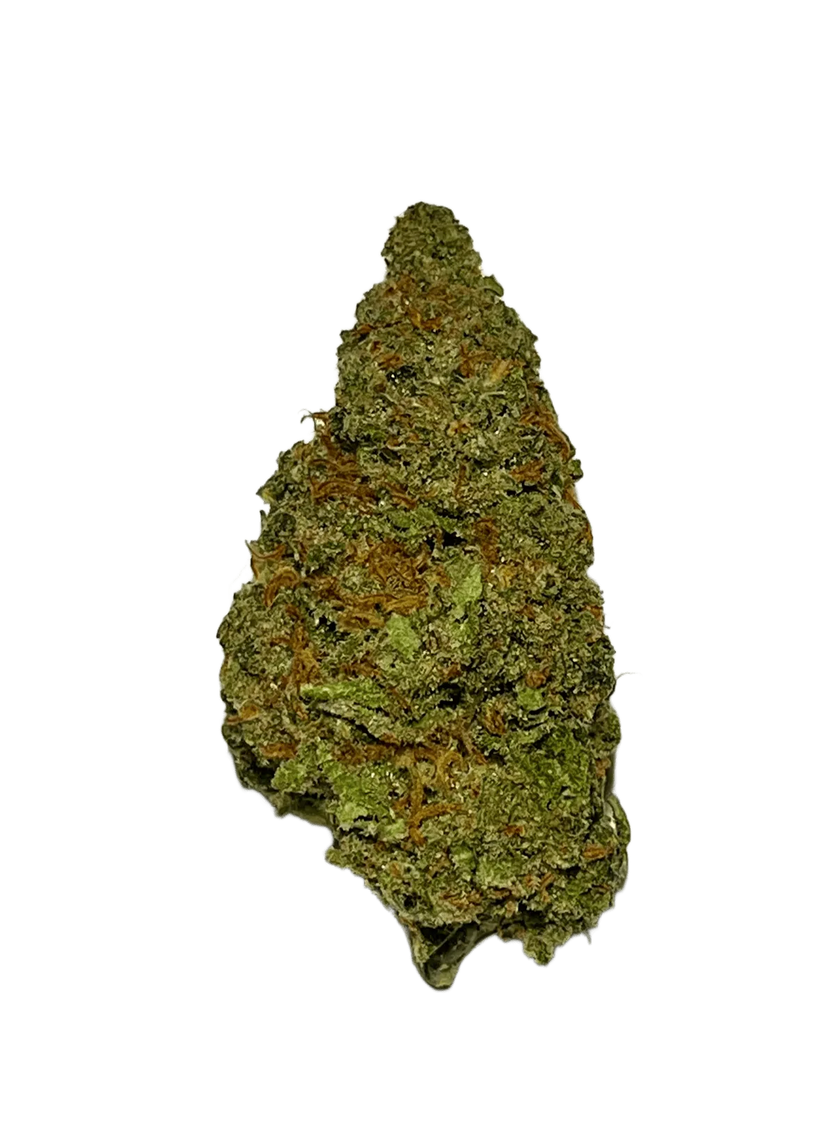 F029_Super_lemon Lemon Haze Weed Strain