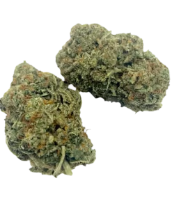 Stardawg Weed Strain