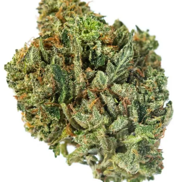 GM-CRITICAL-KUSH-2-600x595