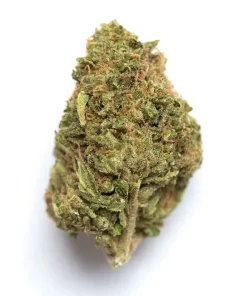 Vanilla Cake weed strain