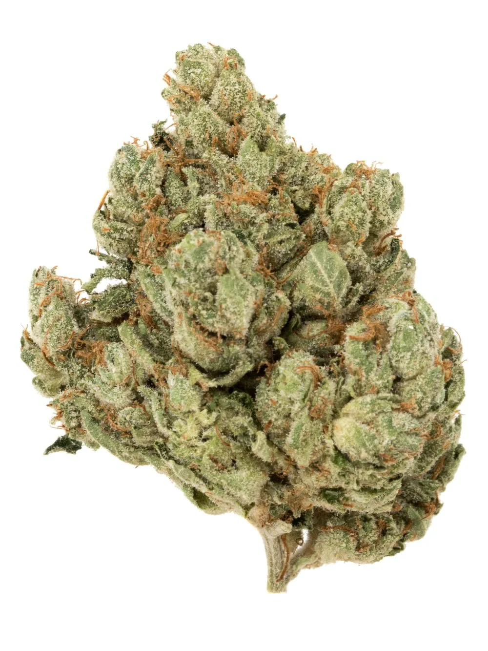GreenMart-Galactic-cookies-weed-1 Galactic Cookies weed