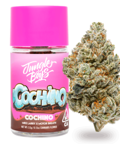 Jungle Boys | Cochino