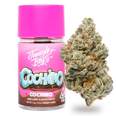 Jungle Boys | Cochino